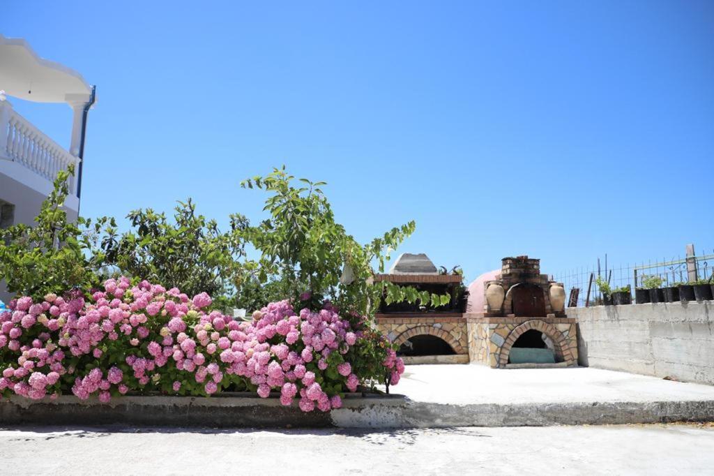 Guest House Narta Vlorë Εξωτερικό φωτογραφία