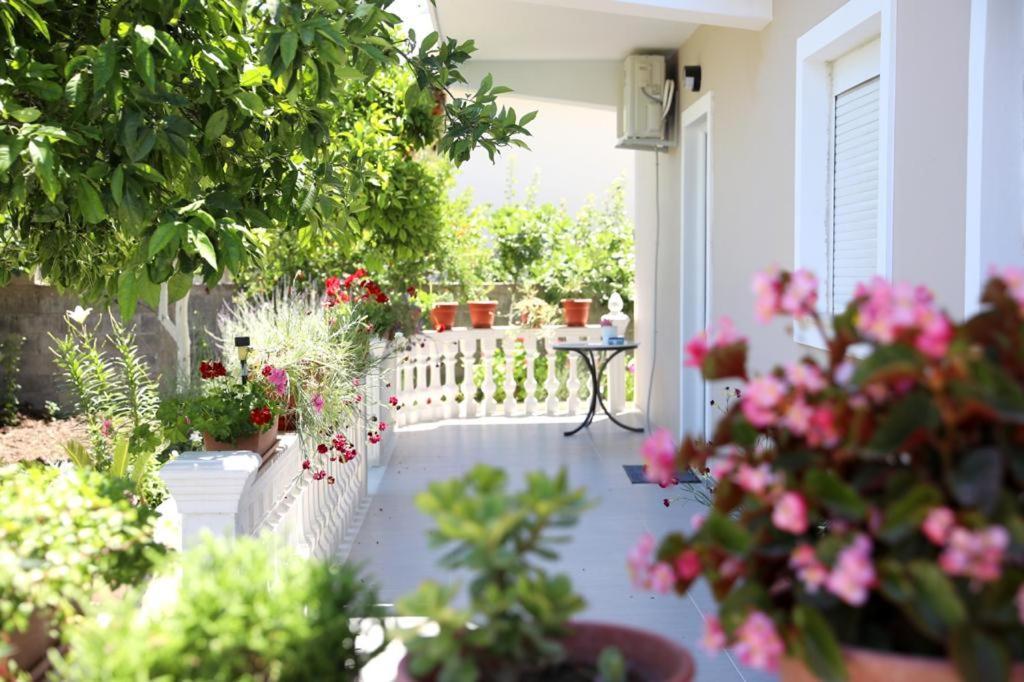 Guest House Narta Vlorë Εξωτερικό φωτογραφία
