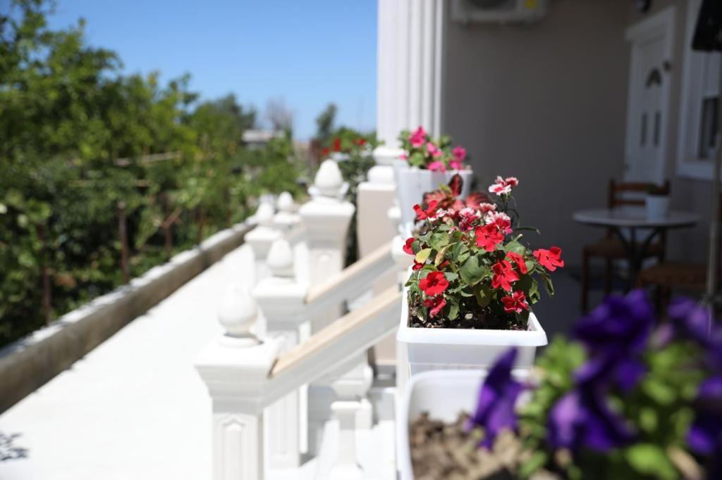 Guest House Narta Vlorë Εξωτερικό φωτογραφία