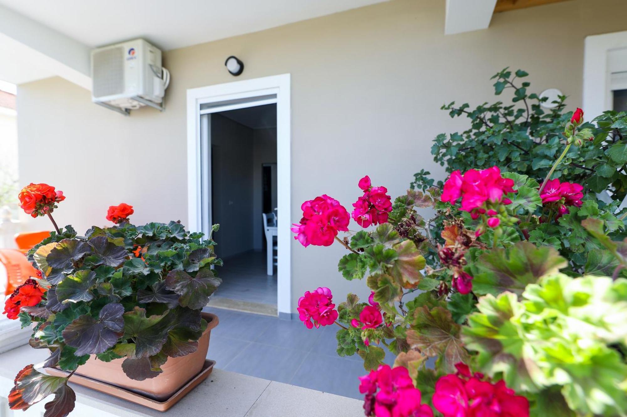 Guest House Narta Vlorë Εξωτερικό φωτογραφία