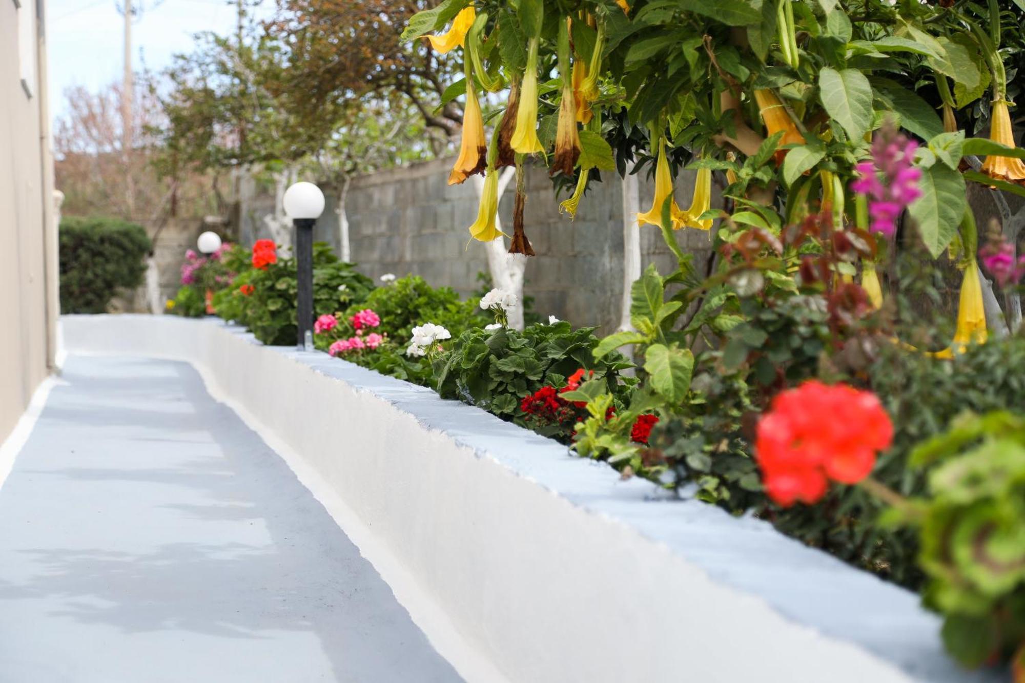 Guest House Narta Vlorë Εξωτερικό φωτογραφία